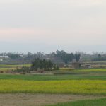 Swabi-0601
