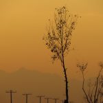 Swabi-0643