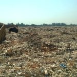 plastic_bags