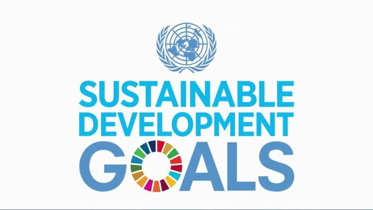 Sustainable development goals 2030 and situation of the country