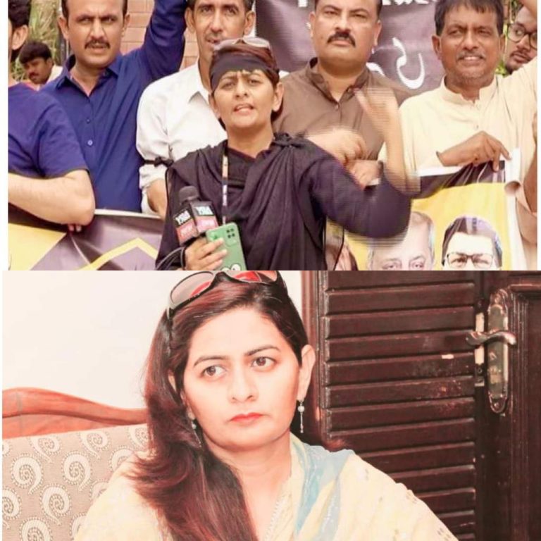 عوام کی آواز بالا ایون تک پہنچانے والے پروفیشنل صحافی مشکلات سے دوچار